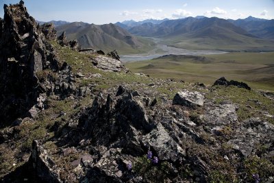 ANWR_6318.jpg