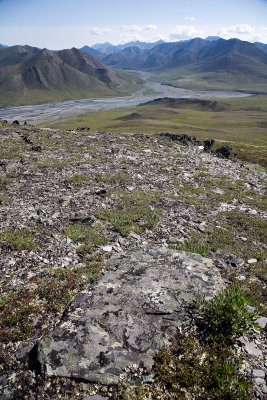 ANWR_6324.jpg
