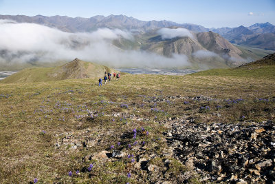 ANWR_6349.jpg