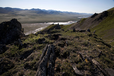 ANWR_6491.jpg