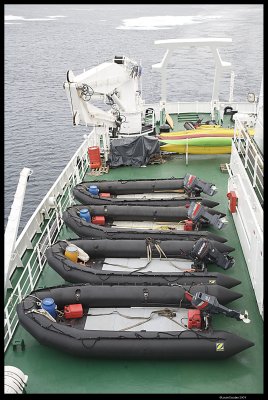 Svalbard_2685 (1).jpg