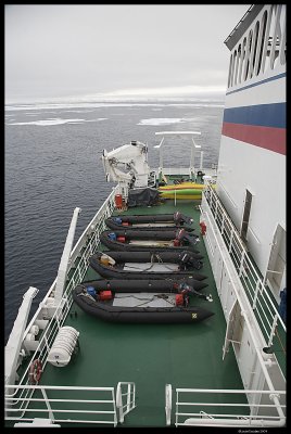 Svalbard_2686 (1).jpg