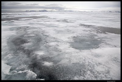 Svalbard_2770 (1).jpg
