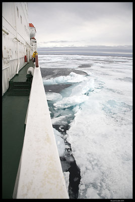 Svalbard_2848 (1).jpg