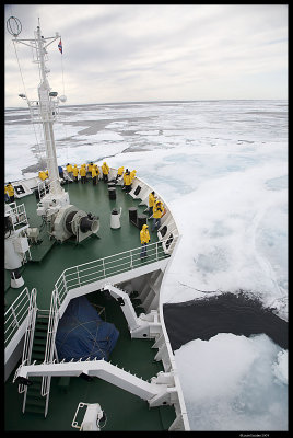 Svalbard_3045 (1).jpg