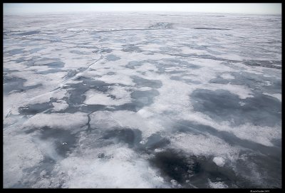 Svalbard_3047 (1).jpg