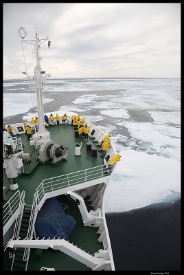Svalbard_3061 (1).jpg