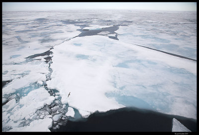Svalbard_3066 (1).jpg