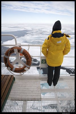 Svalbard_3091 (1).jpg