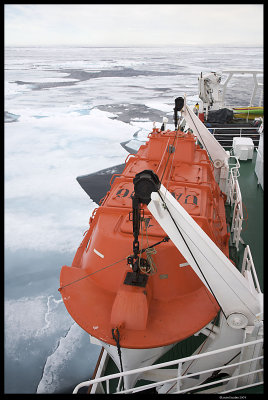 Svalbard_3114 (1).jpg