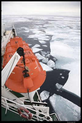 Svalbard_3116 (1).jpg