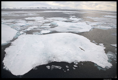 Svalbard_3123 (1).jpg