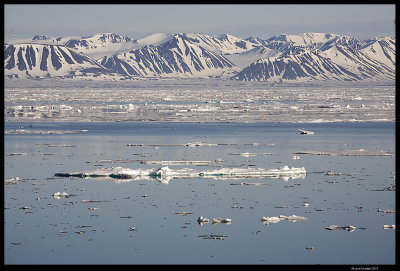 Svalbard_3237 (1).jpg