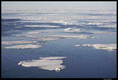 Svalbard_3289 (1).jpg