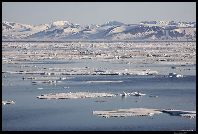 Svalbard_3293 (1).jpg