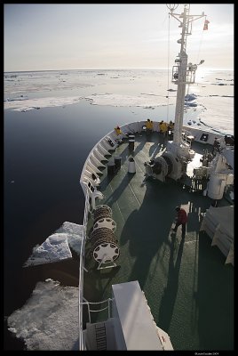 Svalbard_3390 (1).jpg