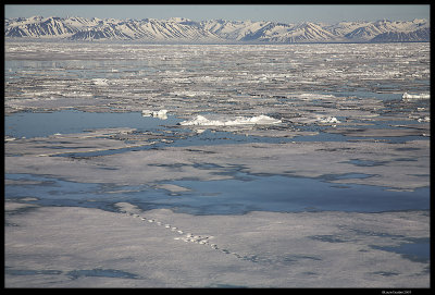 Svalbard_3425 (1).jpg