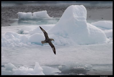Svalbard_3715 (1).jpg