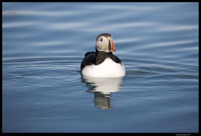 Svalbard Day 7