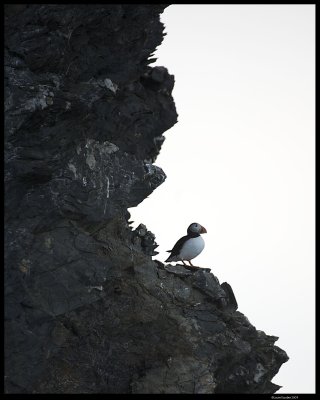 Svalbard_3605.jpg