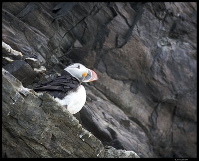 Svalbard_3640.jpg