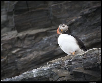 Svalbard_3690.jpg