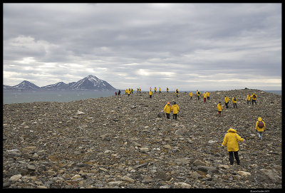Svalbard_4271.4.jpg
