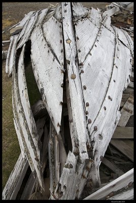 Svalbard_4806.4.jpg