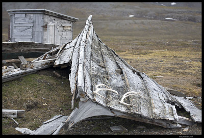 Svalbard_4837.4.jpg
