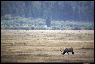 RMNP_5612.4.jpg