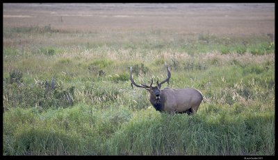 Rocky Mountain National Park