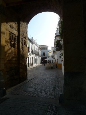 P1020213.jpg