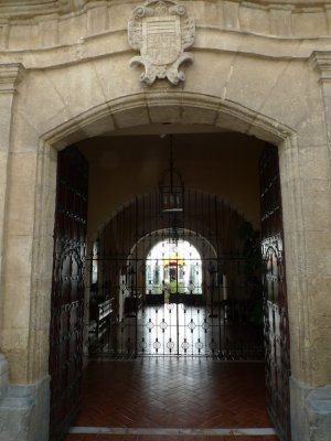 P1020220.jpg