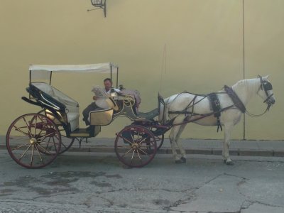 P1020222.jpg