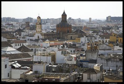 Seville_7214.4.jpg