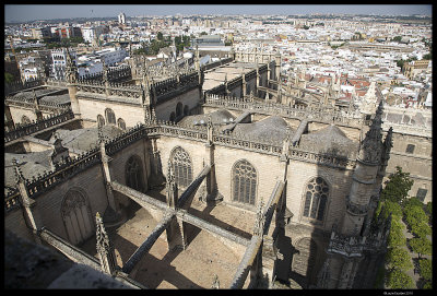 Seville_7221.4.jpg