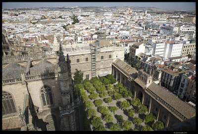 Seville_7223.4.jpg
