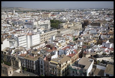 Seville_7233.4.jpg