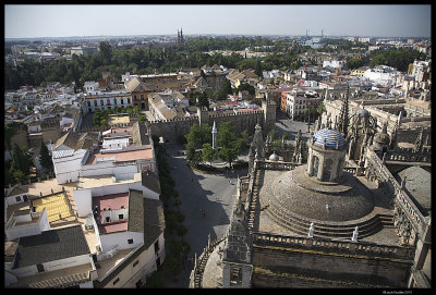 Seville_7238.4.jpg
