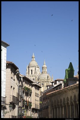 _MG_7876.4.jpg