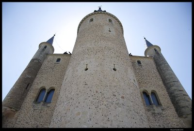 _MG_7964.4.jpg
