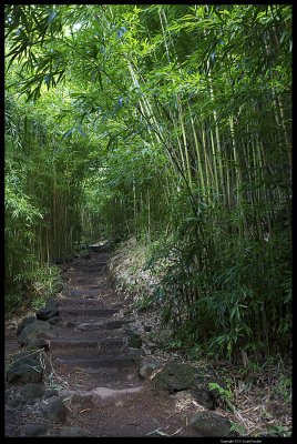 Haleakala_9789.4.jpg