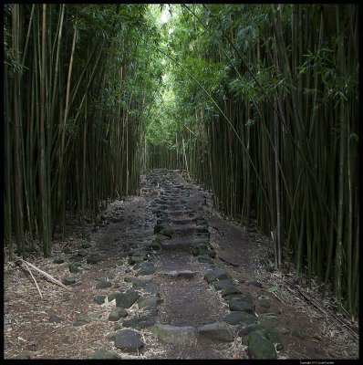 Haleakala_9846.4.jpg