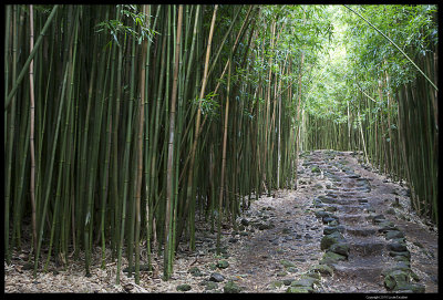 Haleakala_9848.4.jpg