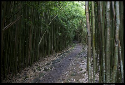 Haleakala_9865.4.jpg