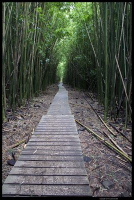 Haleakala_9883.4.jpg