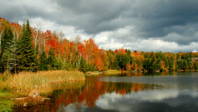 Fall Foliage in Vermont