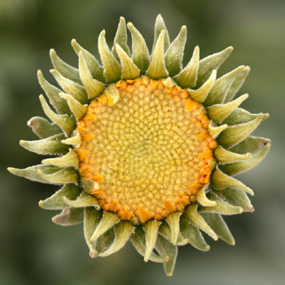 g1/67/34567/3/110787493.o6wIIOnq.jpg