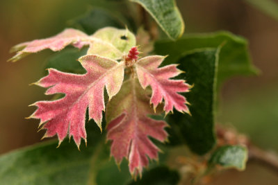 g1/67/34567/3/114245453.VaUSHPb2.jpg