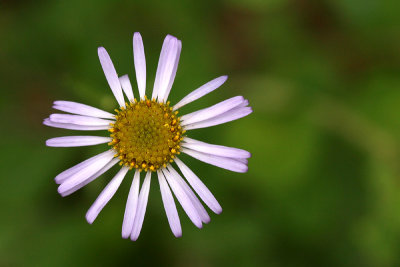 g1/67/34567/3/114310210.YSatHw23.jpg